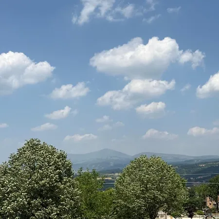 Kovan Lux 11 Apartman