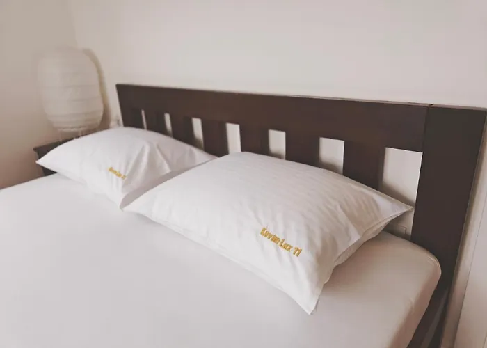 Kovan Lux 11 Apartament Sokobanja